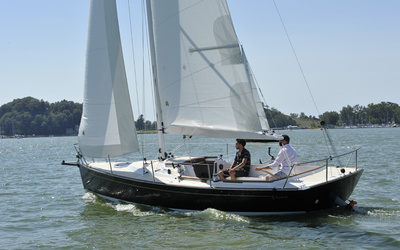 Tartan Fantail