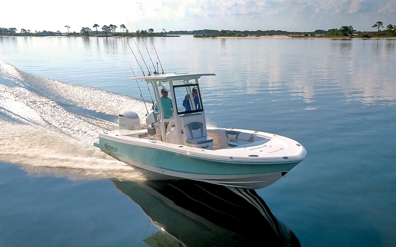 Robalo 246 Cayman