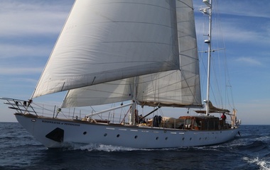 Midship Windweaver of Pennington