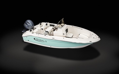 Robalo R180