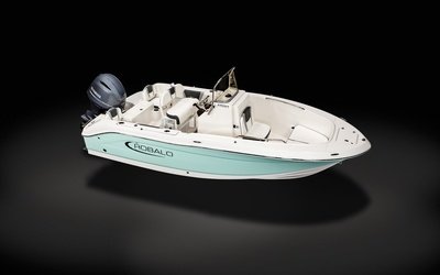 Robalo R180