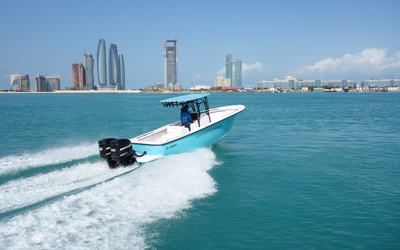 Hayaari H28SF