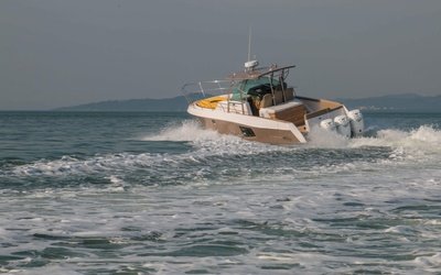 Fishing Raptor 390 Saint Tropez