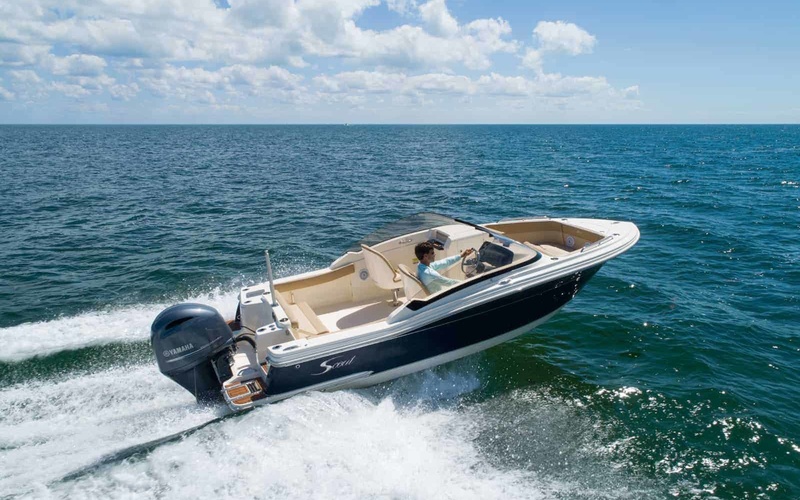 Scout 215 Dorado