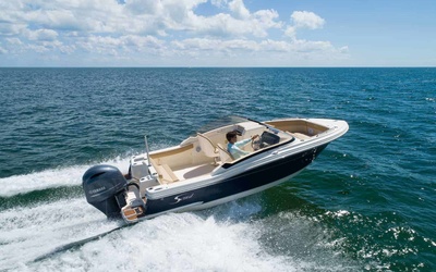 Scout 215 Dorado