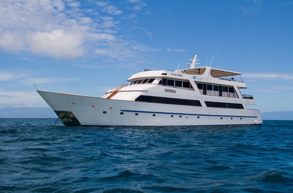 Custom Boats Grand Odyssey