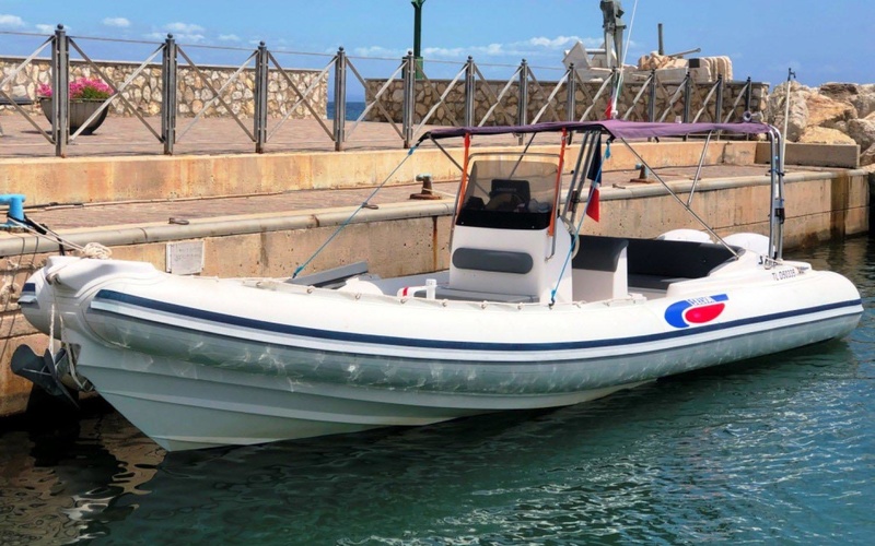 Selva D.800