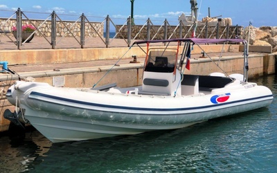 Selva D.800