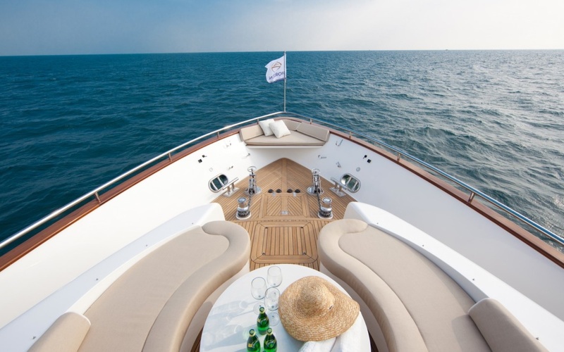 Horizon CC110