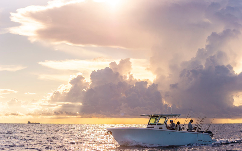 Sailfish 312 CC
