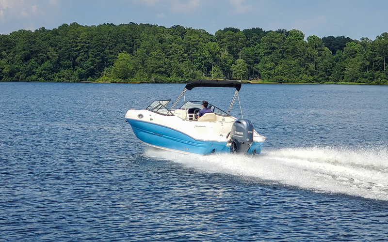 Stingray 211DC