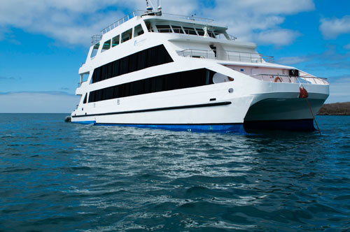 Antonai Saman Queen of Galapagos