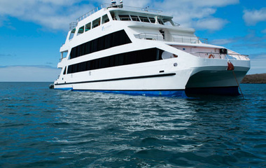 Antonai Saman Queen of Galapagos