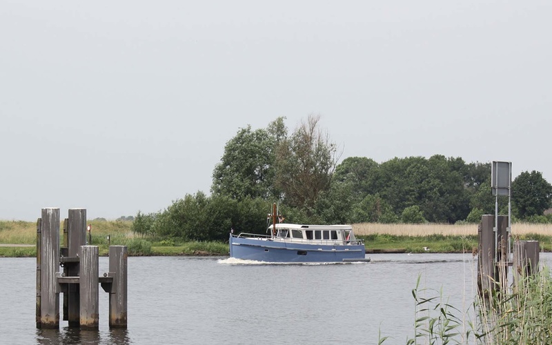 Steeler Explorer 50