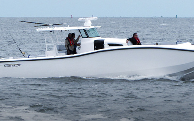 Insetta I45C