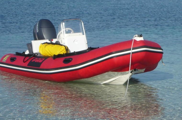 Zodiac PRO II 470