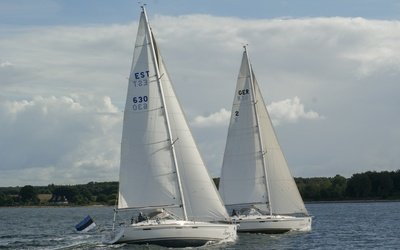Saare 41 cc²