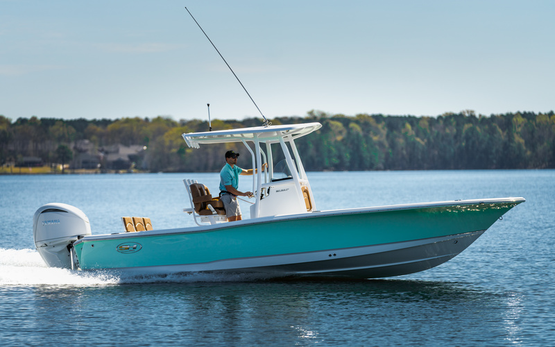 Sea Hunt BX 25 BR