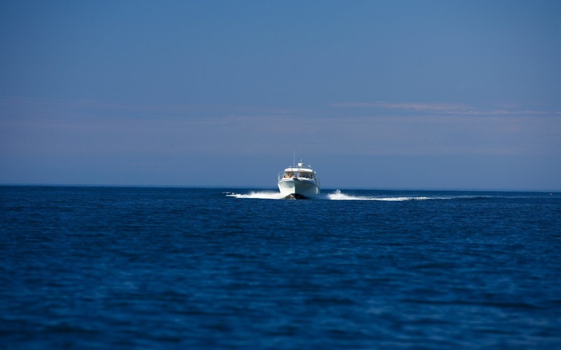 Saga  315