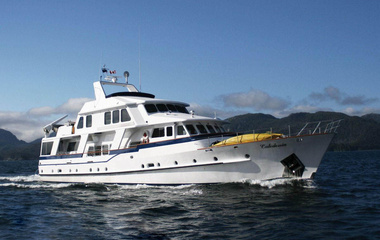 Bayaco Caledonia