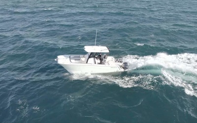 World Cat 260CC-X