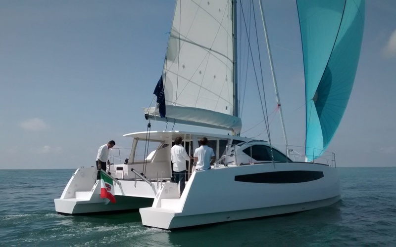 C-Cat 37