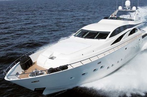ARNO Leopard 32
