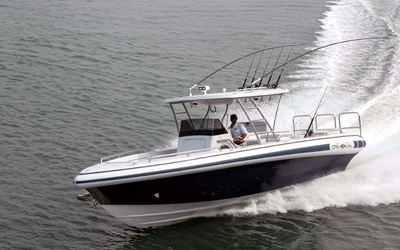 Novurania Chase 31