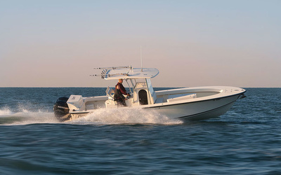 Egret 290