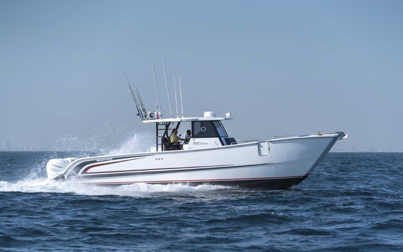 SilverCat 40CC