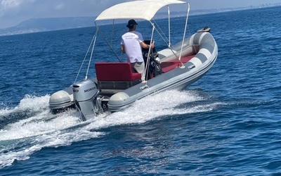 Selva D.540