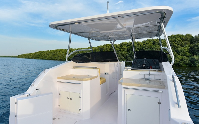 Silvercraft 31