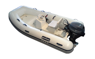 Geniuss 290 Sport