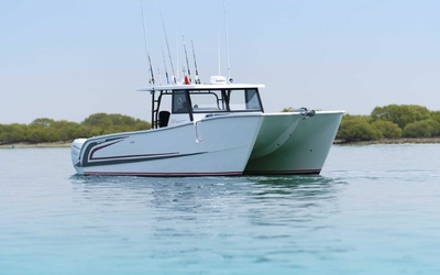 SilverCat 40CC