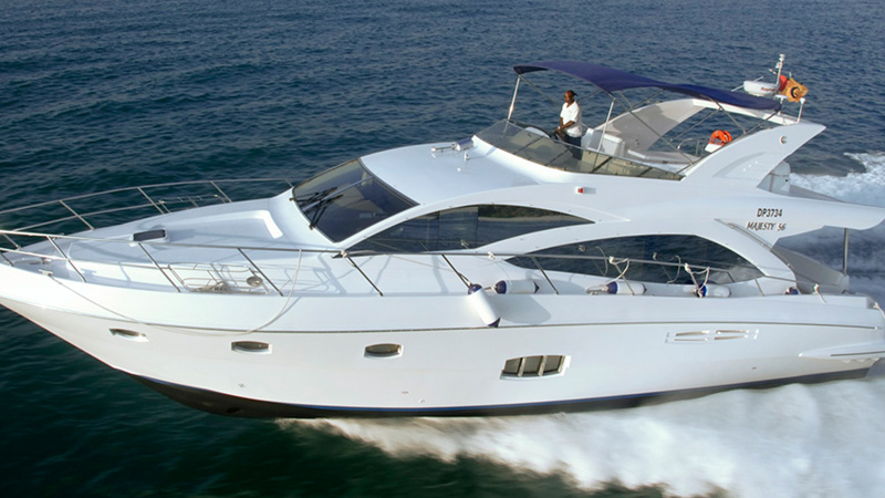 Majesty 56