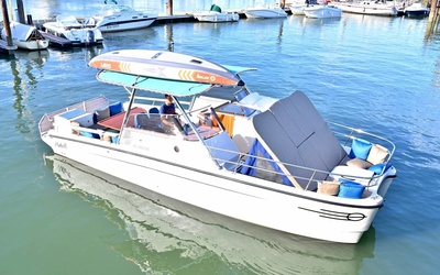 Pinball Catamaran E-hybrid