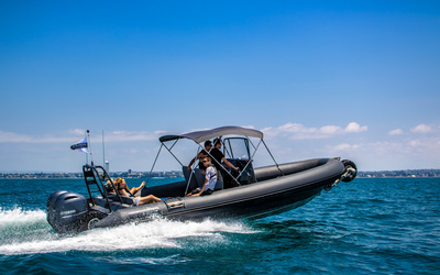 Sealegs 9.0m Hydrasol Rib