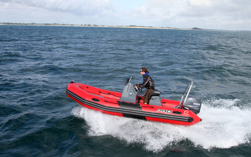 Zodiac Pro 500