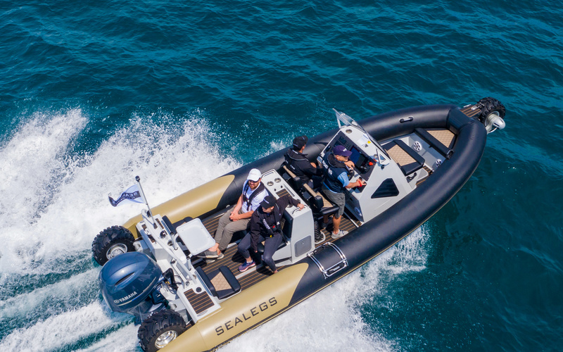 Sealegs 7.5m Amphibious RIB