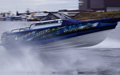 Berkut Active DC