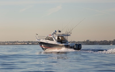 Cutwater C-302 Sport Coupe