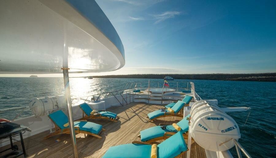 Custom Boats Majestic