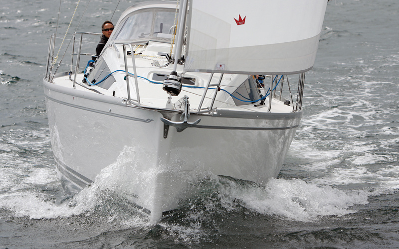 Delphia 31