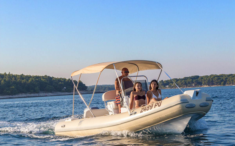 Tiger Marine ProLine 550