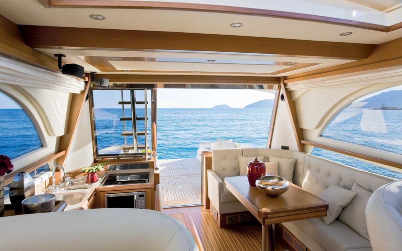 Mochi Craft Dolphin 54 