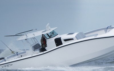 Insetta I45C