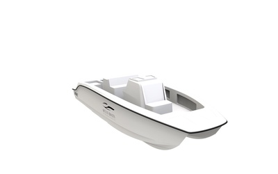 Ocean Boats 29C