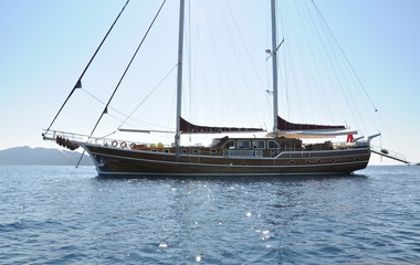 Custom Palmyra