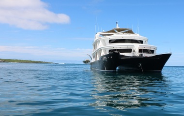 Custom Petrel