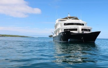 Custom Boats Petrel